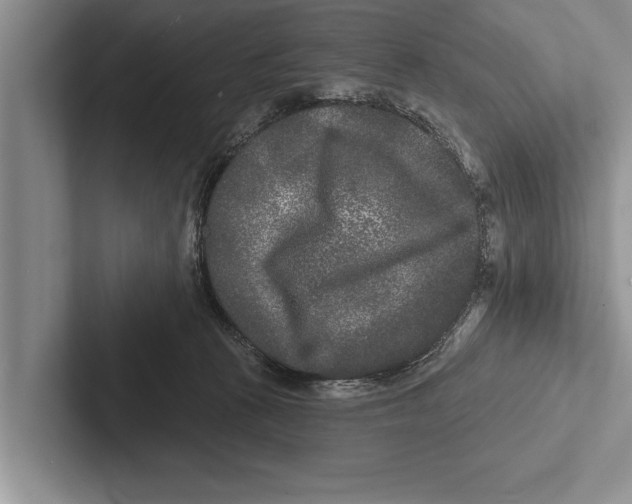 X0000102540273200809051539