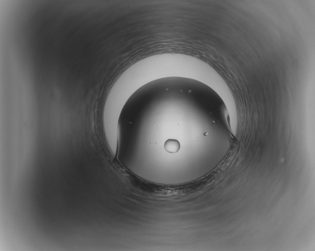 X0000102540276200809051539
