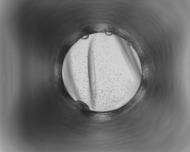 X0000102540280200809051539
