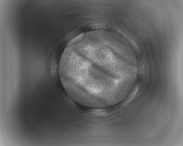 X0000102540281200809051539