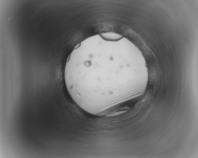 X0000102540282200809051539