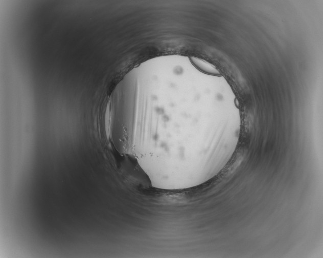 X0000102540283200809051539