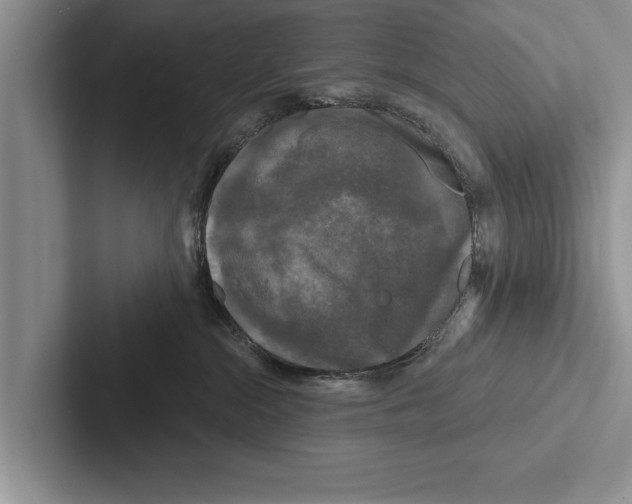X0000102540284200809051539