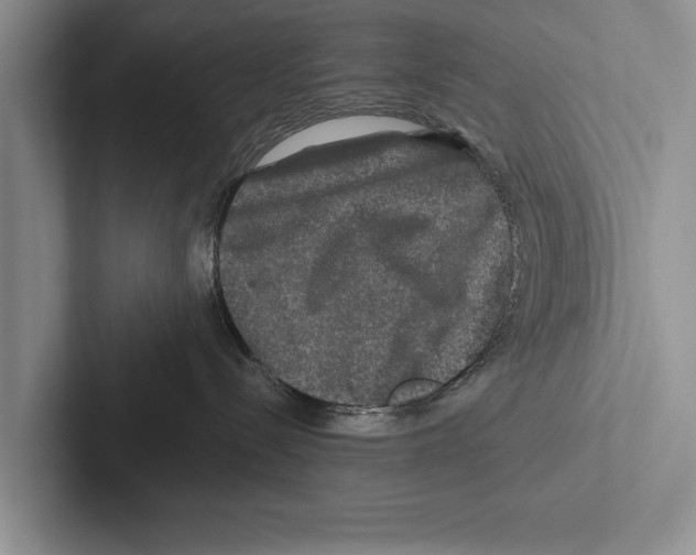 X0000102540288200809051539