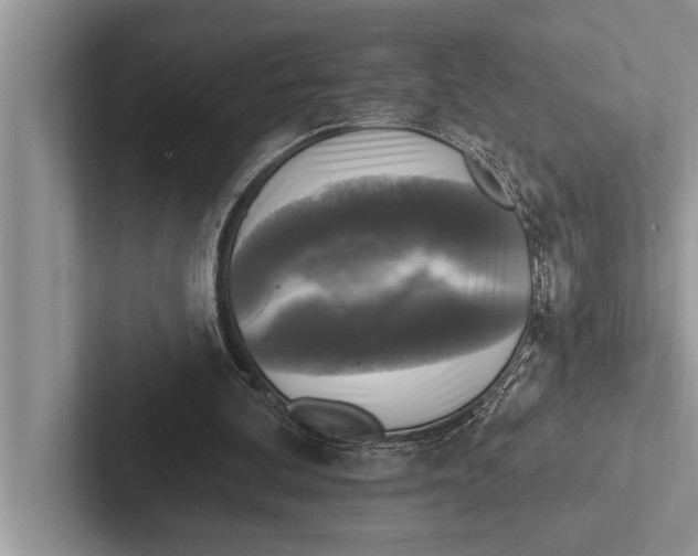 X0000102540292200809051538