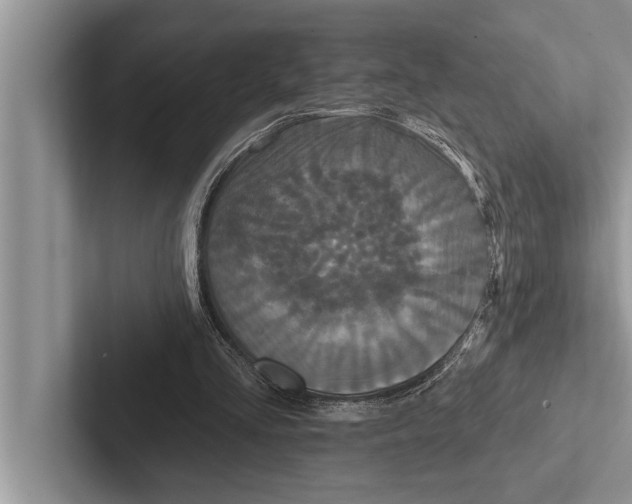X0000102540293200809051538