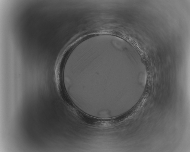 X0000102540295200809051538