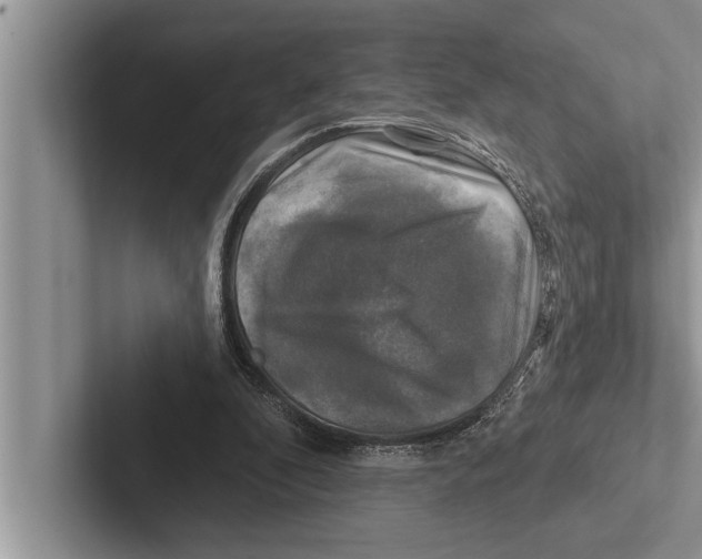 X0000102540296200809051538