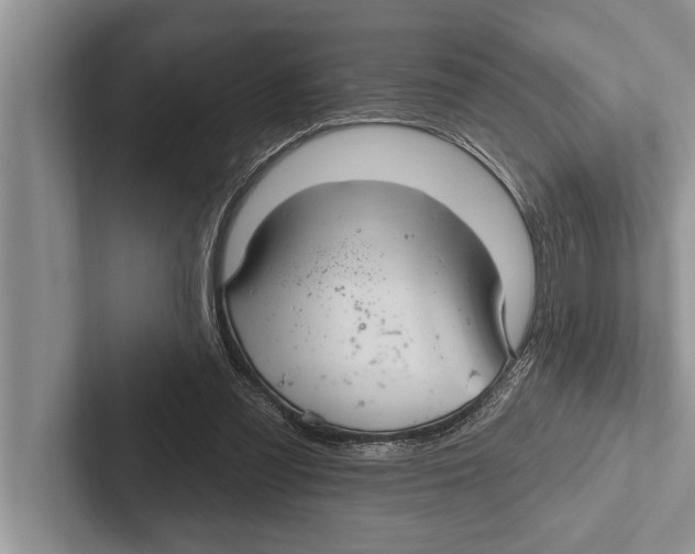 X0000102540301200809051538