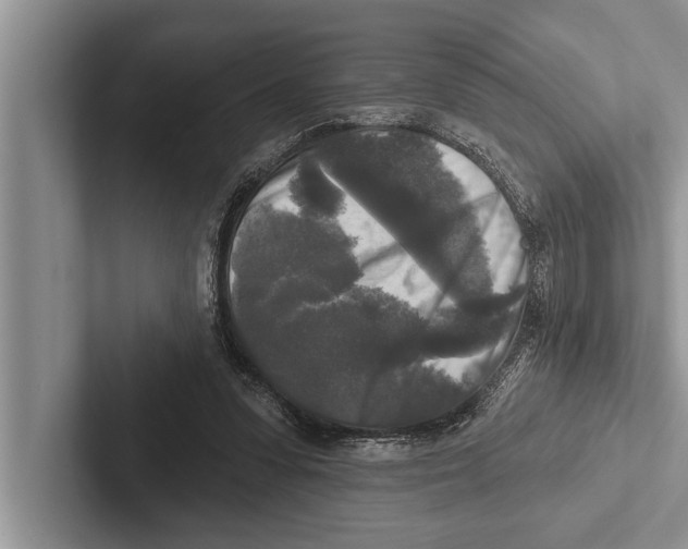 X0000102540303200809051538