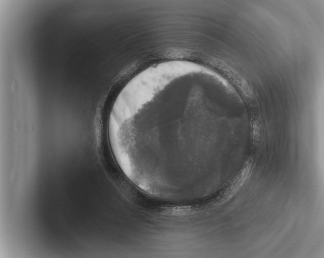 X0000102540304200809051538