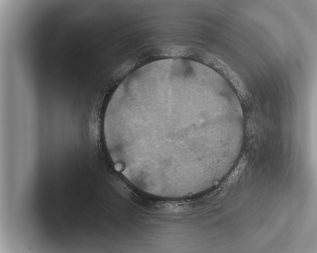 X0000102540305200809051538