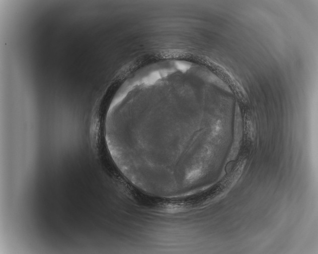 X0000102540308200809051538