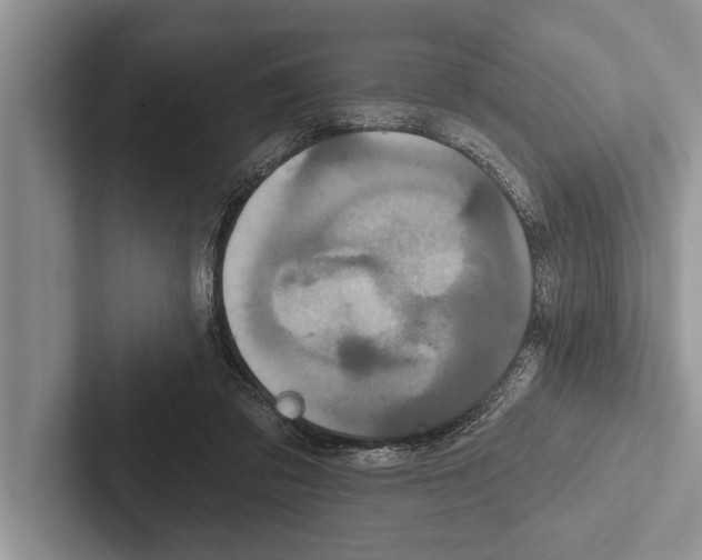 X0000102540309200809051538