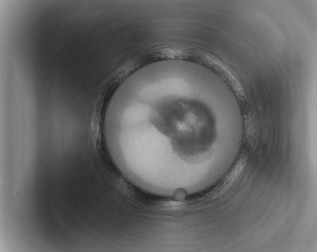 X0000102540313200809051538