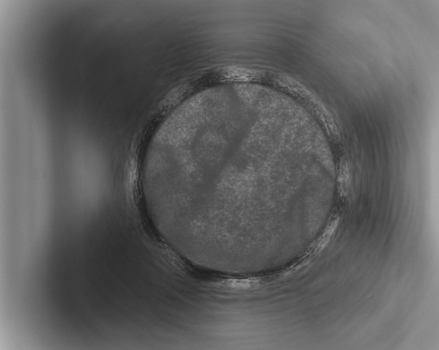 X0000102540314200809051538