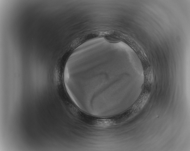 X0000102540316200809051538