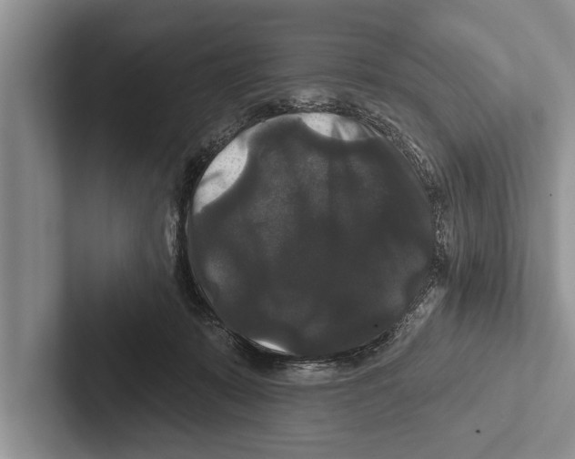 X0000102540319200809051538