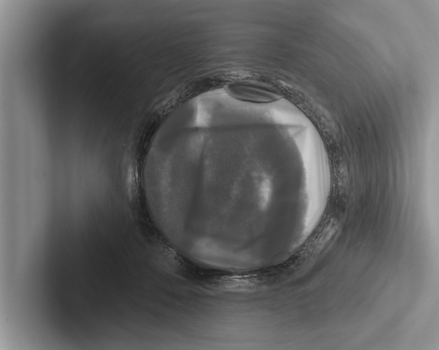 X0000102540320200809051538