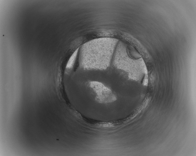 X0000102540322200809051538