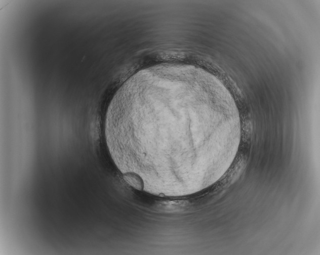 X0000102540323200809051538