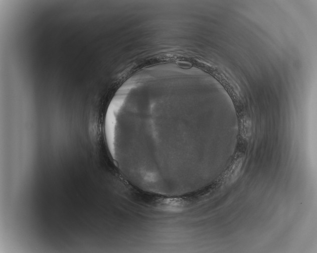 X0000102540324200809051538