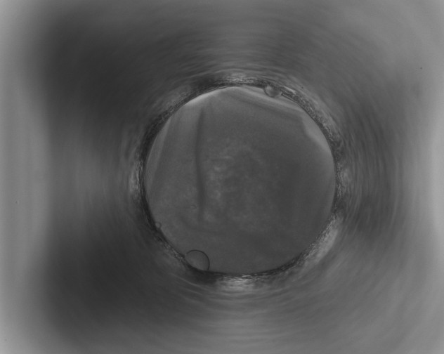 X0000102540325200809051538