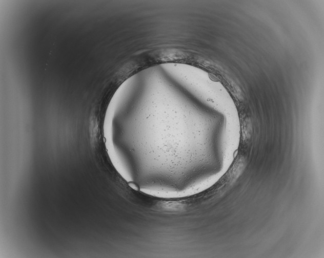 X0000102540327200809051538