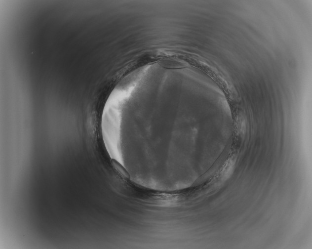 X0000102540328200809051538