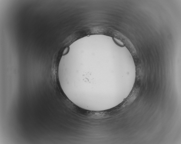 X0000102540329200809051538