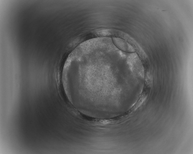 X0000102540330200809051538
