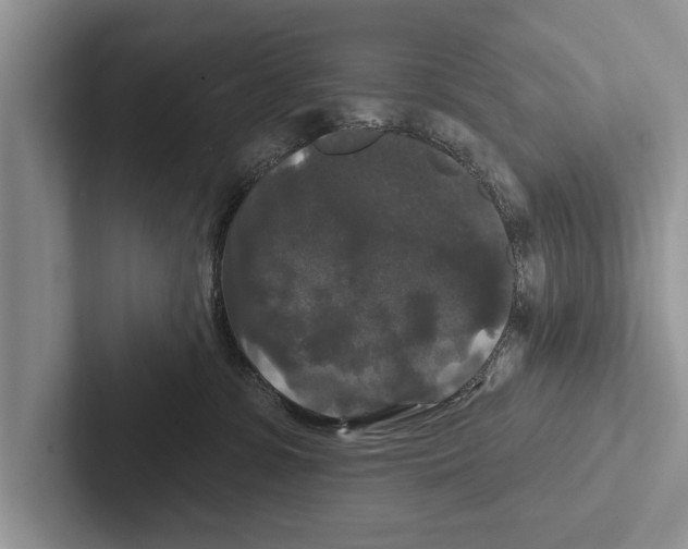 X0000102540331200809051538