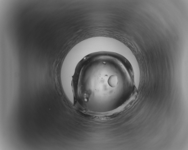 X0000102540332200809051538