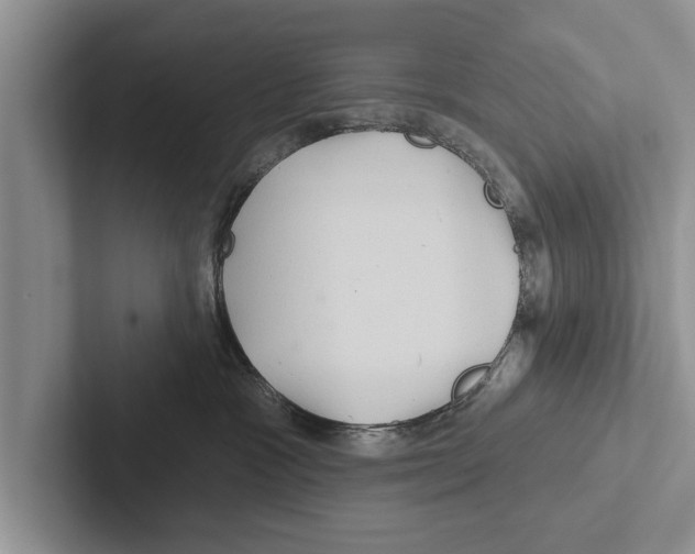 X0000102540333200809051538