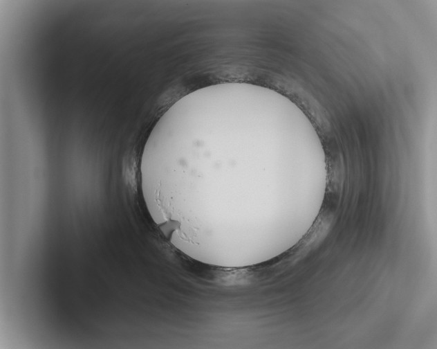 X0000102540334200809051538