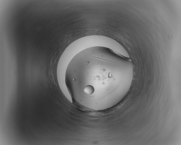 X0000102540336200809051538