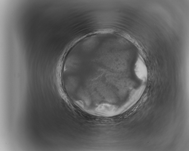 X0000102540337200809051537