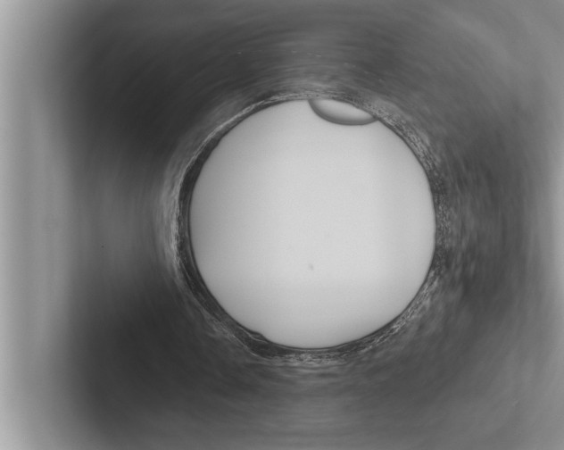 X0000102540338200809051537