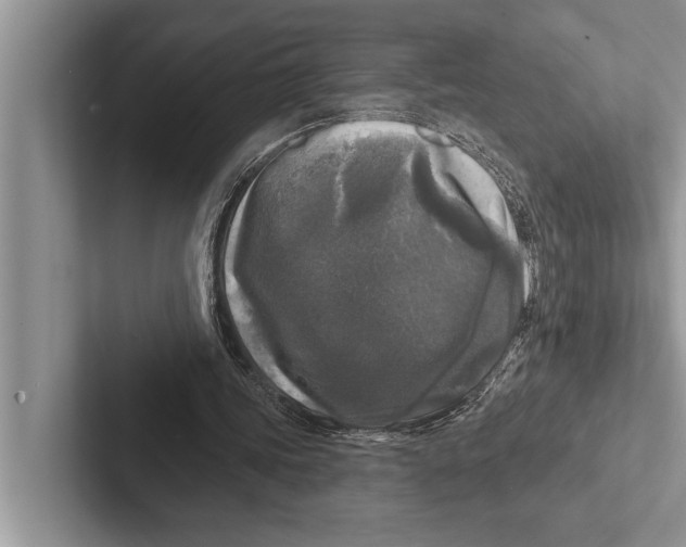 X0000102540339200809051537