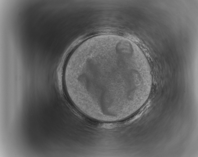 X0000102540341200809051537