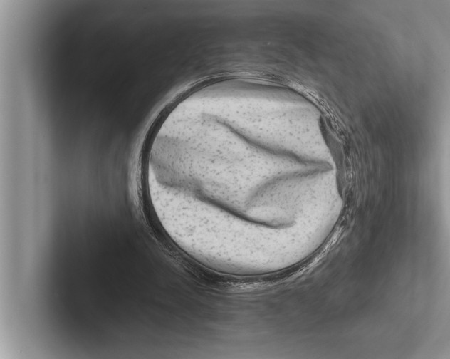 X0000102540342200809051537