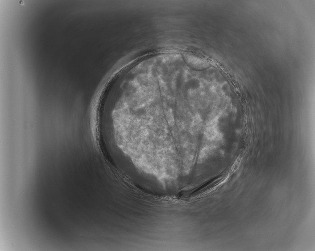 X0000102540343200809051537
