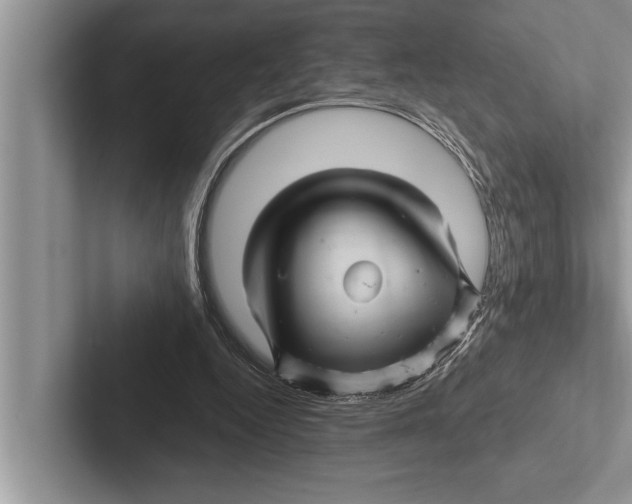 X0000102540344200809051537