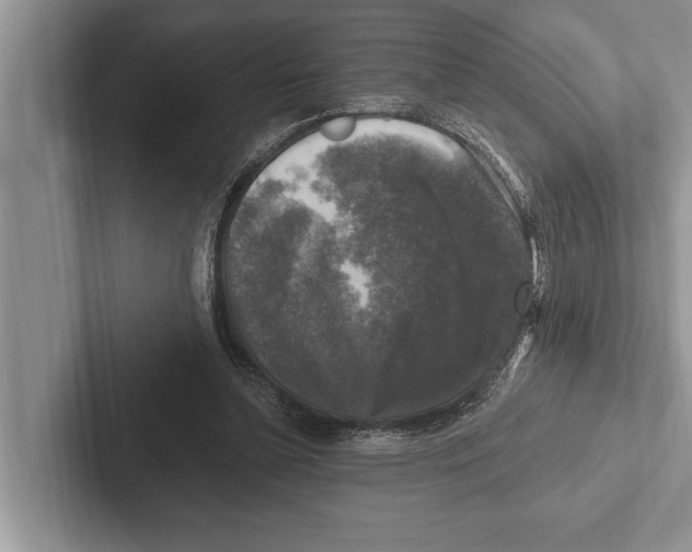 X0000102540348200809051537