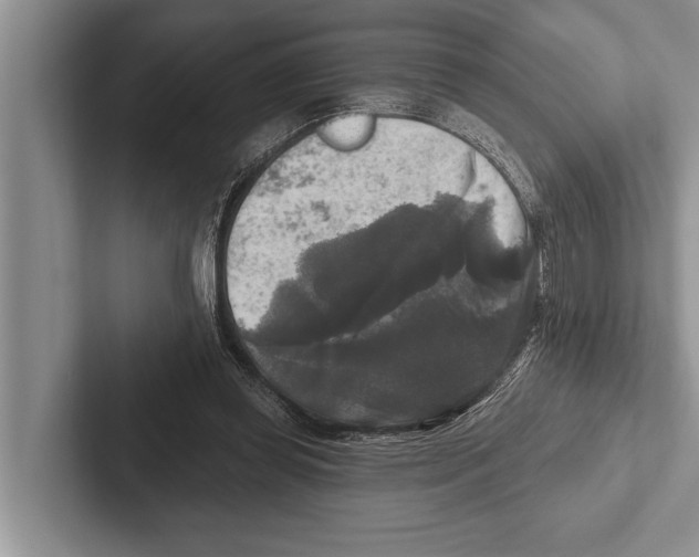 X0000102540349200809051537