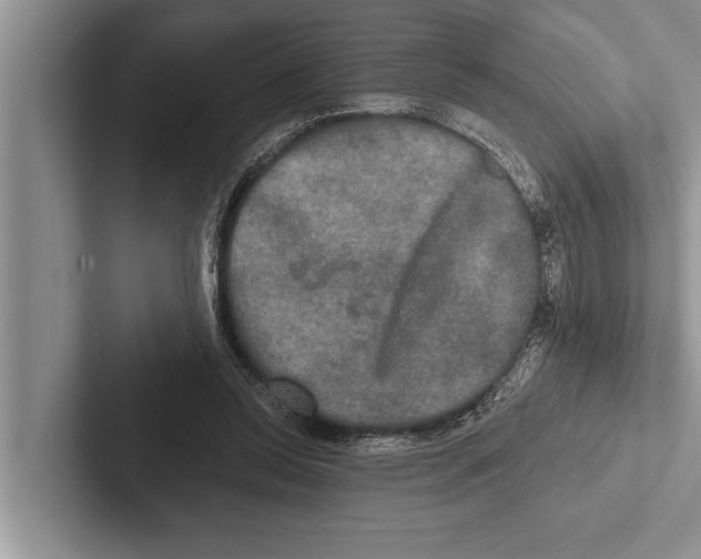 X0000102540350200809051537