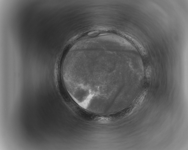 X0000102540352200809051537