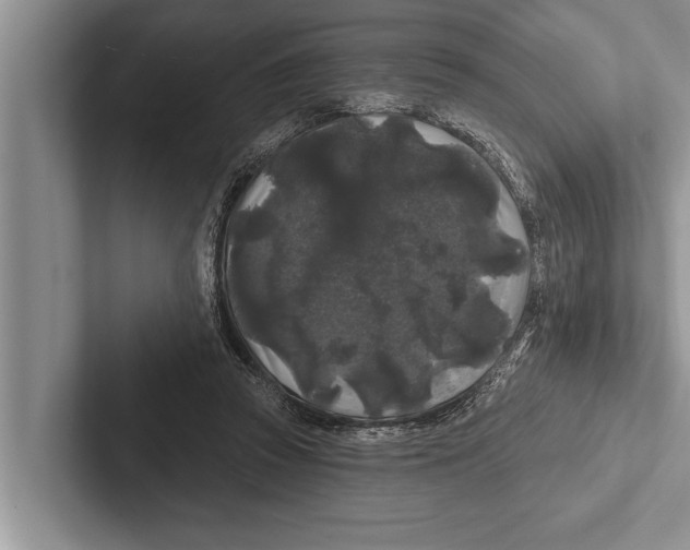 X0000102540353200809051537