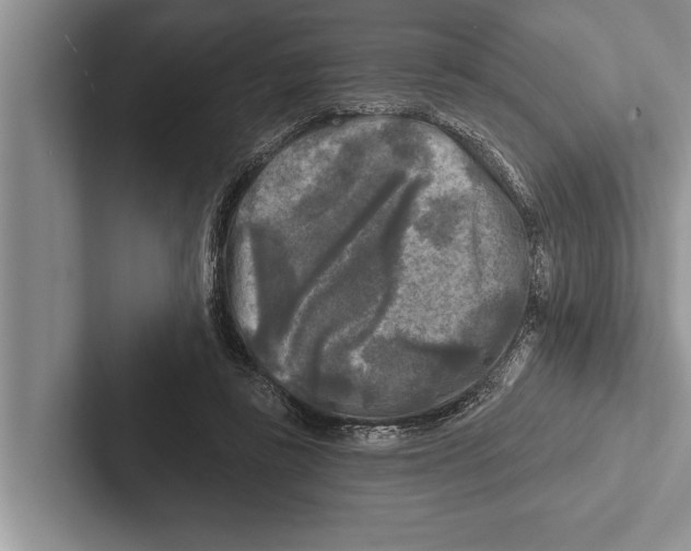 X0000102540355200809051537