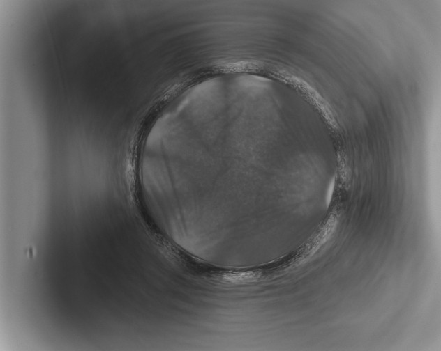 X0000102540357200809051537